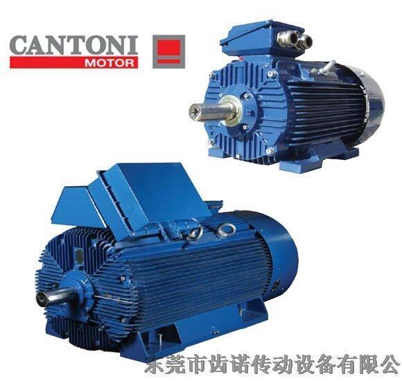 Cantoni普通三相電機(jī) ，Cantoni單相電機(jī)，Cantoni 防爆電機(jī)