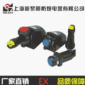 ZXF8575防爆防腐插接裝置 16A 新黎明國標正品 廠家直銷