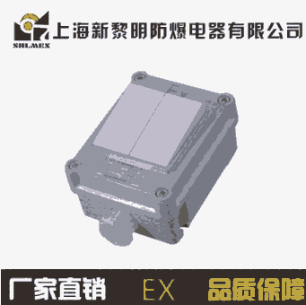 廠家直銷防爆墻壁照明開關(guān)明裝暗裝一開二開三開四開220V10A