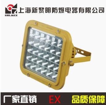 廠家直銷新黎明CCD97-100W免維護(hù)led防爆泛光燈 led防爆燈