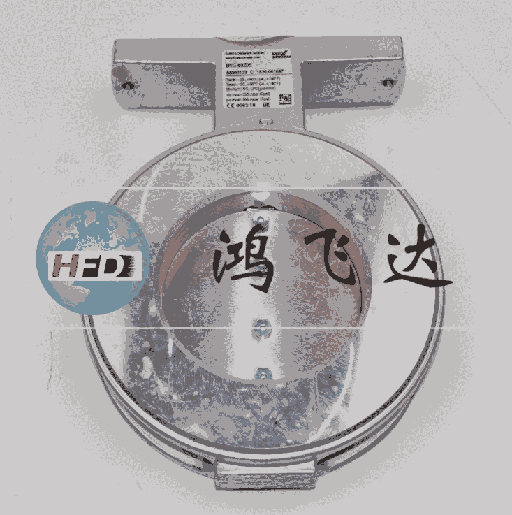 芯科技，芯創(chuàng)新；引燃燃燒器，ZMI25B600RZ，84099152