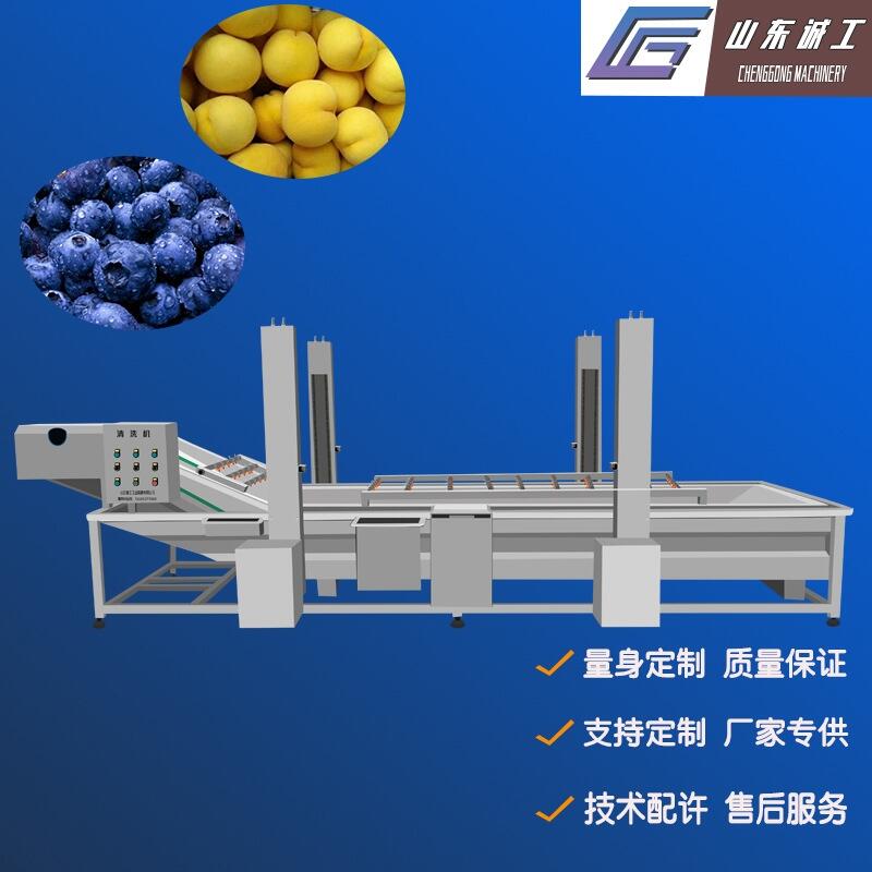 全自動蓮藕氣泡清洗機大棗海鮮清洗機誠工專供