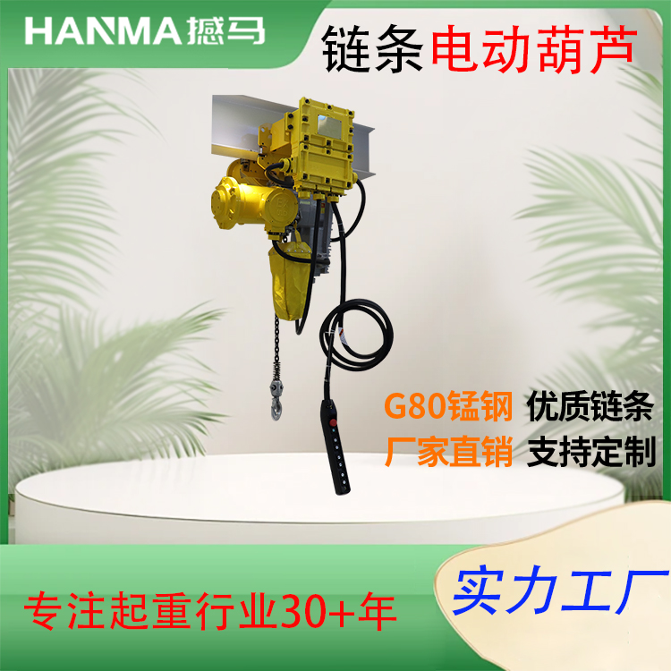 1T單鏈 鏈條電動葫蘆 工業(yè)起重設(shè)備 安全 車間倉儲建筑 辰力集團(tuán)