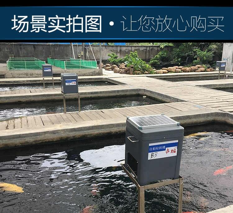 赤坂丨赤坂錦鯉魚池喂食器丨太陽能自動喂食機丨大容量喂魚器