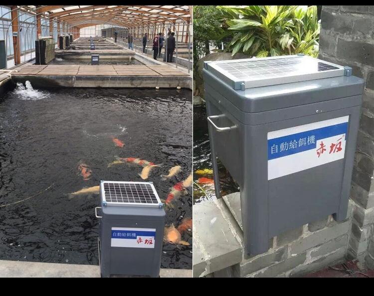 赤坂錦鯉魚池喂食器丨太陽能自動喂食機(jī)丨魚池喂食器批發(fā)