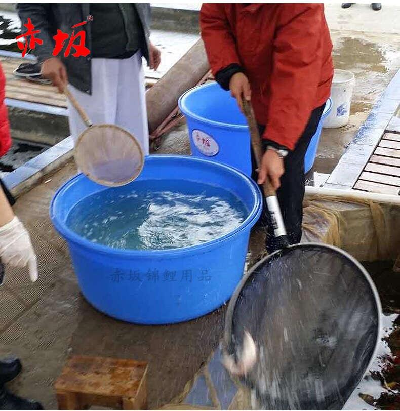 赤坂塑膠魚盆 魚場用魚盆