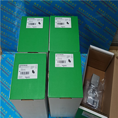 施耐德百格拉電機ILE1R661PB1A4參數(shù)說明