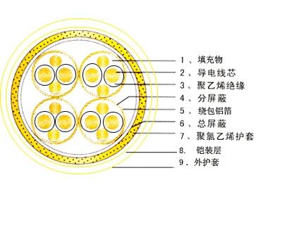 計(jì)算機(jī)屏蔽電纜-DJYPVP，DJYPV計(jì)算機(jī)屏蔽電纜-DJYPVP計(jì)算機(jī)屏蔽電纜-DJY