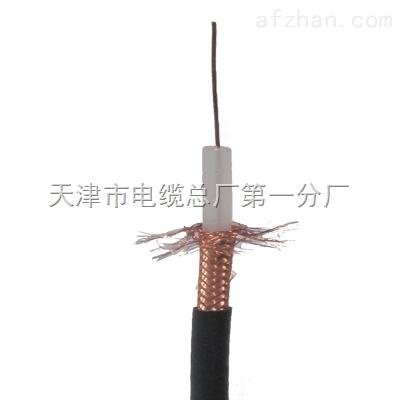 實(shí)心同軸電纜SYV-50-3-1X0.9聚乙烯絕緣護(hù)套電纜