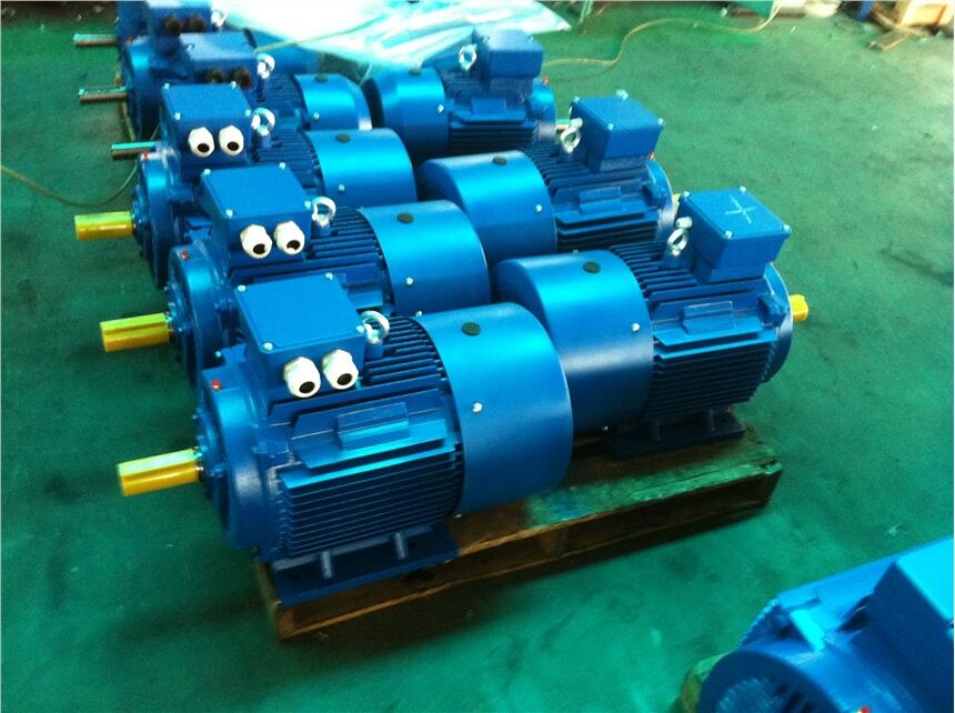 上海華濱YX3-200L2-6-22KW?高效電機(jī)現(xiàn)貨