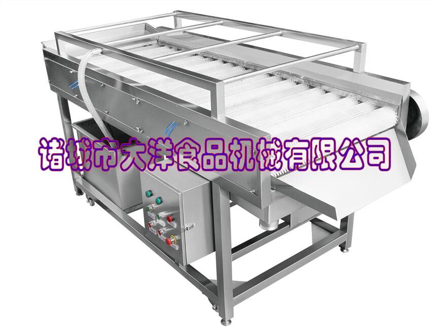 QZ型不銹鋼果蔬清洗去雜機(jī)專業(yè)去毛發(fā)機(jī)