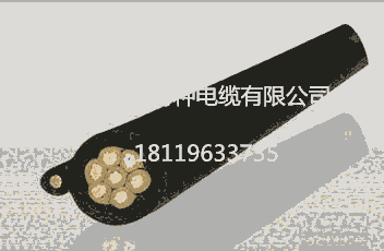 門機專用電纜GPEFR  3*25+3*8    10KV   耐低溫-60度 安徽飛純牌