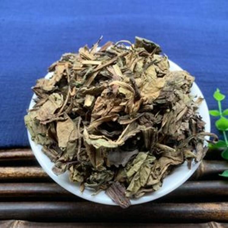 板藍根種子出芽率是多少