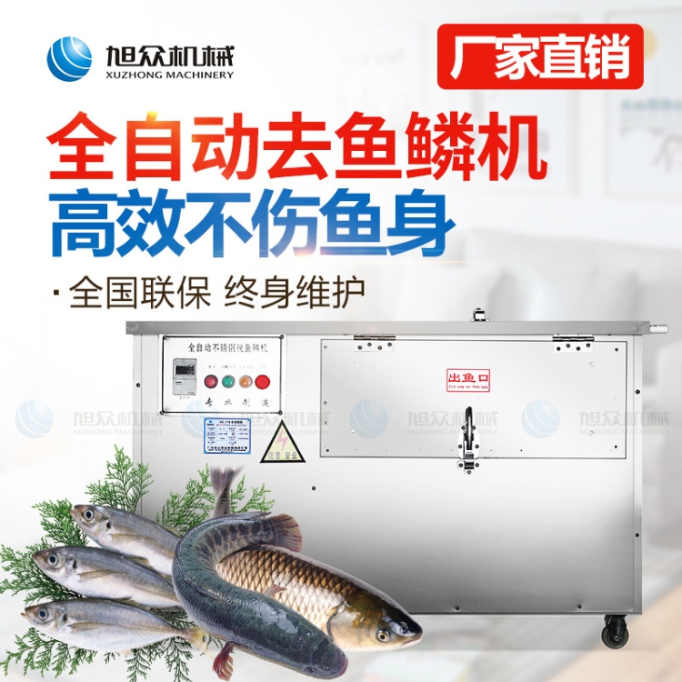 商用廠家XZ-550全自動(dòng)去魚鱗機(jī)