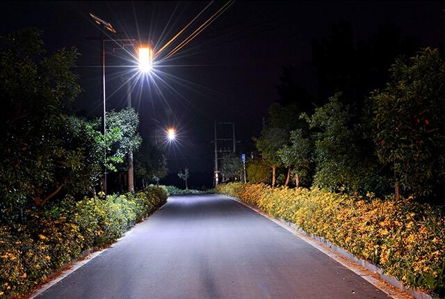 太陽能路燈裝飾農(nóng)村道路亮化