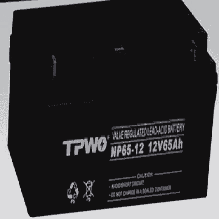 TPWO拓普沃NP65-12蓄電池12V65AH市場報價