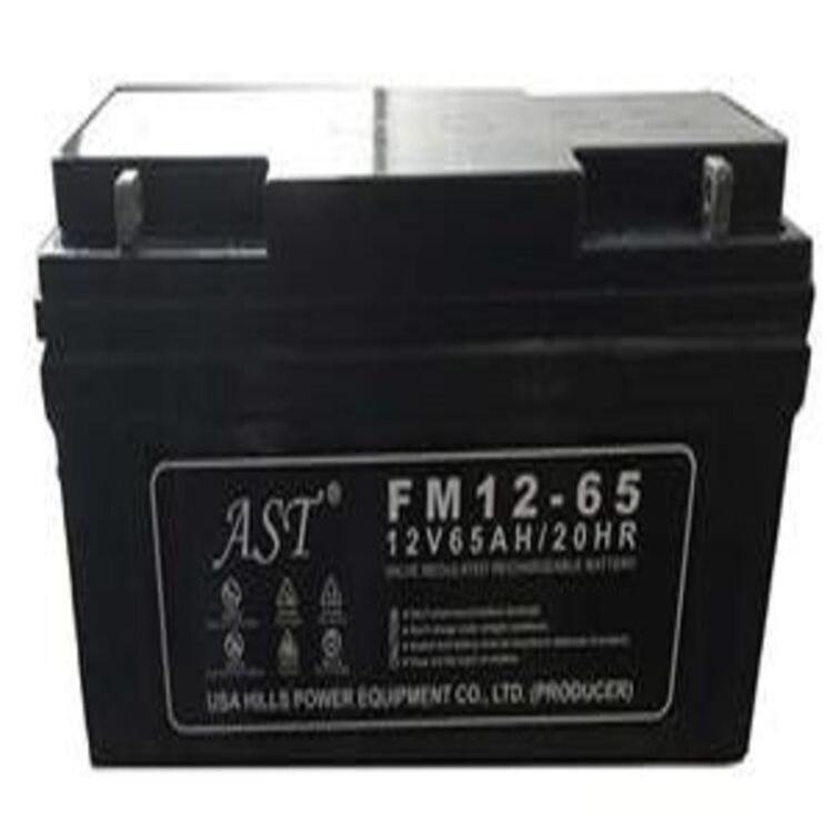 ASTSo(h)늳12V100AH̖(ho)FM12-100|(zh)