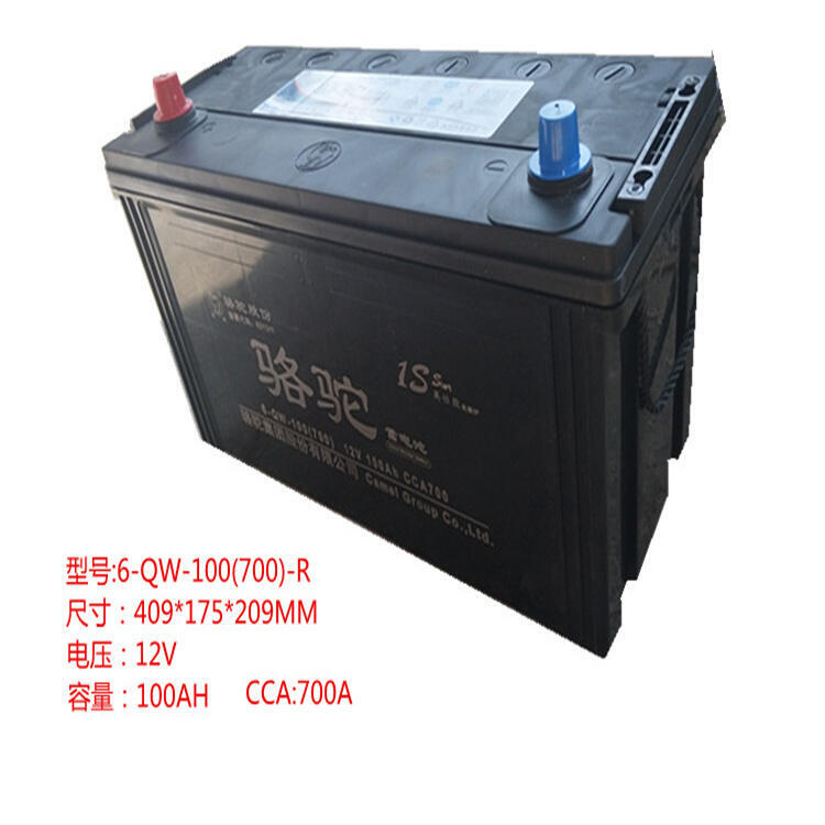 駱駝免維護啟動蓄電池 6-QW-105MF 12V105AH