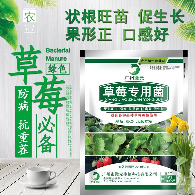 草莓專用微生物菌劑農(nóng)用復(fù)合芽孢桿菌微生物復(fù)合功能菌