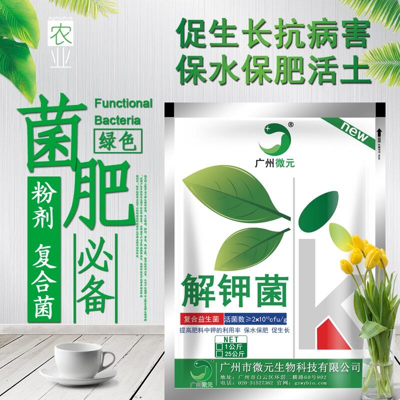 解鉀菌復(fù)合解鉀菌農(nóng)用復(fù)合芽孢桿菌微生物菌肥功能菌種