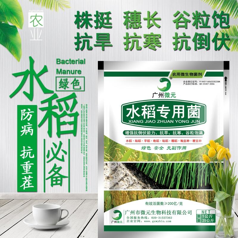 水稻專用微生物菌劑農(nóng)用復(fù)合芽孢桿菌微生物復(fù)合功能菌