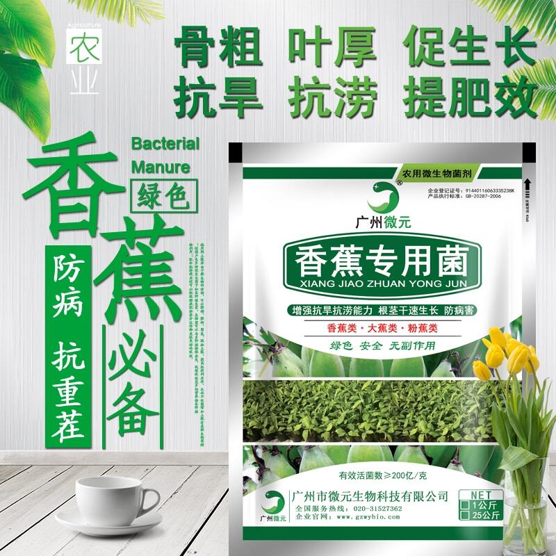 香蕉專用微生物菌劑農用復合芽孢桿菌微生物復合功能菌