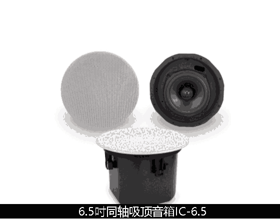 廣州浩韻大姆6寸同軸天花音箱: IC-6.5