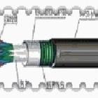 KVVP屏蔽電纜KVVRP屏蔽控制電纜報價