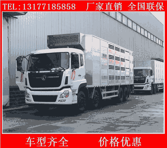 空調(diào)恒溫拉豬車  養(yǎng)豬廠專用拉豬車價格