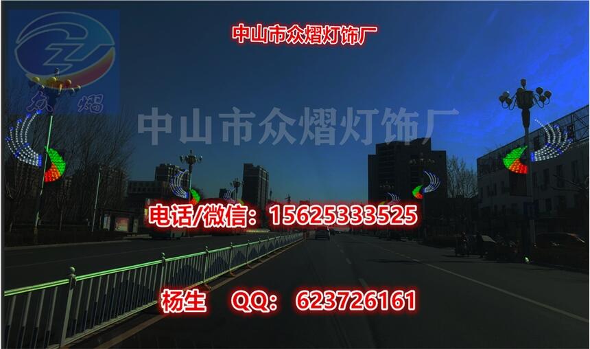 LED路燈桿裝飾亮化造型燈 道路美化彩燈 路燈桿裝飾燈 LED燈光藝術(shù)