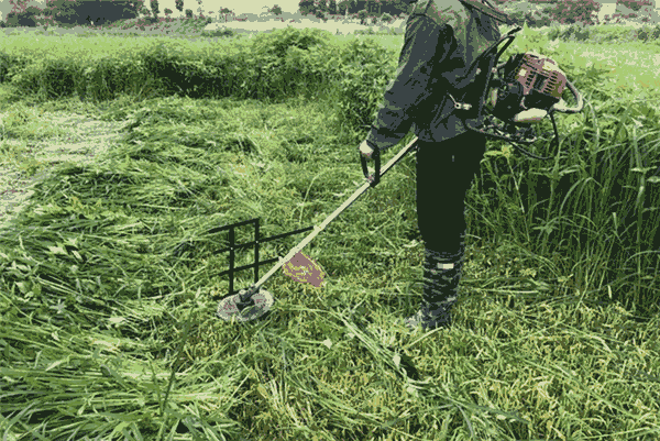 手推式小型割草機縮短工作時間