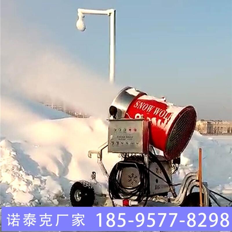 滑雪場(chǎng)造雪機(jī)供水系統(tǒng)指導(dǎo) 河北人工造雪機(jī)價(jià)格 諾泰克