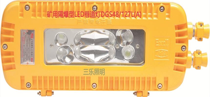 礦用隔爆型LED巷道燈DGS48/127L(A)