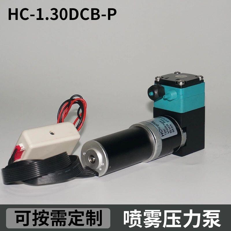 尿素噴霧壓力泵 微型直流水泵24v 微型南華壓力泵