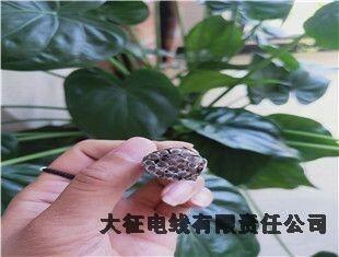 蒙陰耐熱鋼芯鋁合金絞線廠家電話