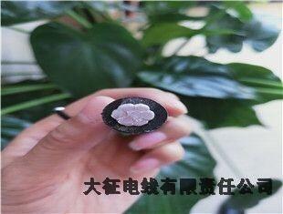 順河回族區(qū)鋼芯鋁合金絞線廠家電話