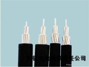 天鎮(zhèn)鋁包鋼芯鋁絞線廠家電話