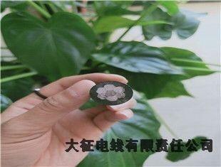 新興區(qū)鋁包鋼芯鋁絞線廠家電話