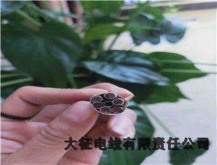 寶山區(qū)耐熱鋼芯鋁合金絞線廠家電話
