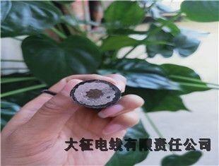 從化區(qū)耐熱鋼芯鋁合金絞線廠家電話