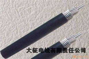 鋁包鋼芯鋁絞線廠家和平區(qū)電話