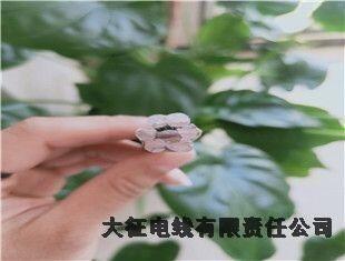耐熱鋼芯鋁合金絞線廠家拜泉電話