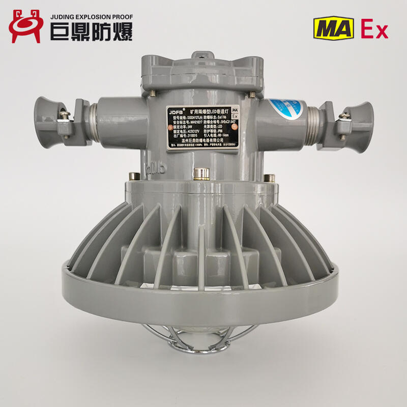 DGS24/127L(A)礦用隔爆型LED投光燈_24W礦用投光燈