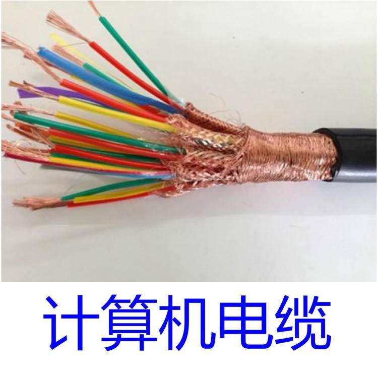 阻燃計算機電纜DJYPVP本安信號電纜廠家國標價格