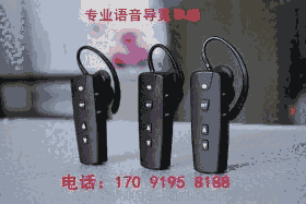 無線講解2器系統(tǒng)電子講解器廠家