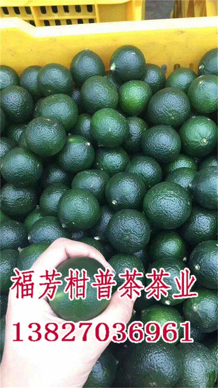 新會小青柑十大牌子_新會小青柑普茶_御廣陳廠家加工批發(fā)零售