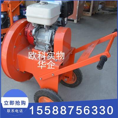 馬路吹風(fēng)機(jī)手推式道路吹風(fēng)機(jī)