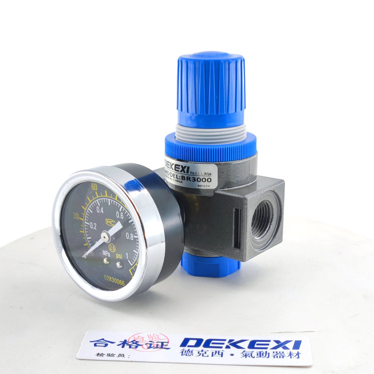 德克西DEKEXI氣缸LBR300減壓器,臺(tái)灣電磁閥,無(wú)桿機(jī)械手氣缸,新洋亞德客同款