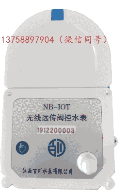 LXSZ-NF15-1 NB智能閥控水表