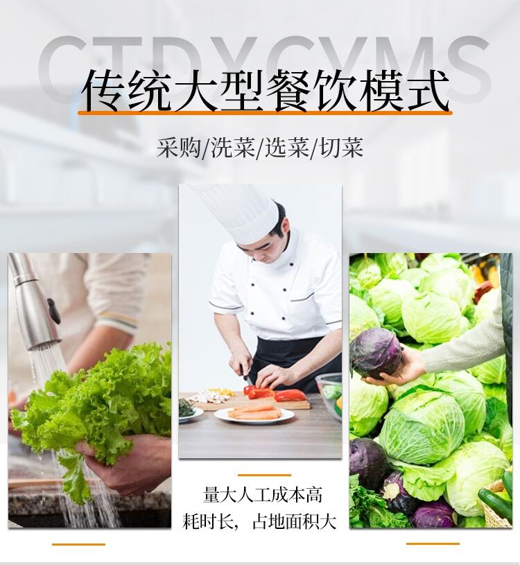 新疆喀什地區(qū)農(nóng)副產(chǎn)品深加工設(shè)備預(yù)制菜生產(chǎn)線配送中心凈菜清洗線